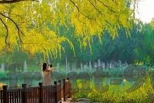 足球比分大于2.5-足球比分大于2.5，激情与悬念交织的绿茵盛宴